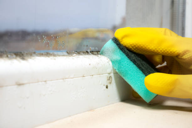 Best Mold Testing and Inspection Services in Premont, TX